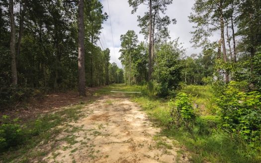 Elizabethtown North Carolina waterfront real estate listing photo 1