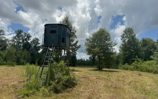 148 Acre Timberland Hunting Homesite Lincoln County, MS
