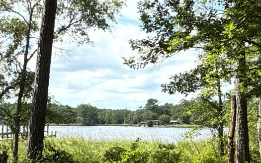 Arapahoe North Carolina riverfront real estate listing photo 1