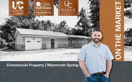 Mammoth Spring Arkansas riverfront real estate listing photo 1