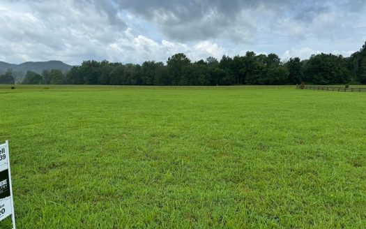 Burkesville Kentucky riverfront real estate listing photo 1