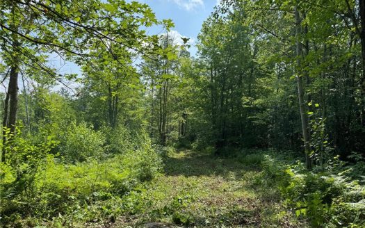 Sandstone Minnesota riverfront real estate listing photo 1