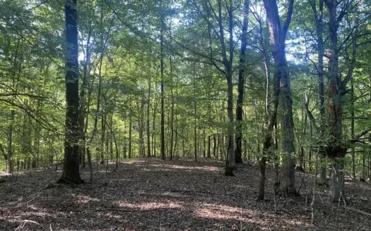 Waterfront Land For Sale In Tn On Indian Creek