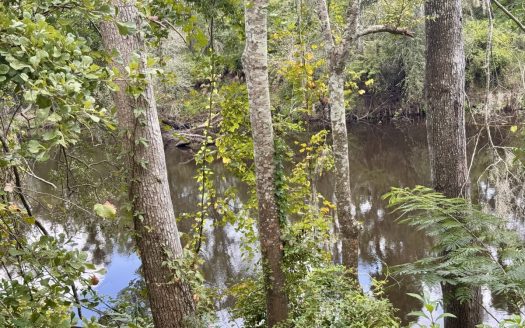 Jasper Florida riverfront real estate listing photo 1