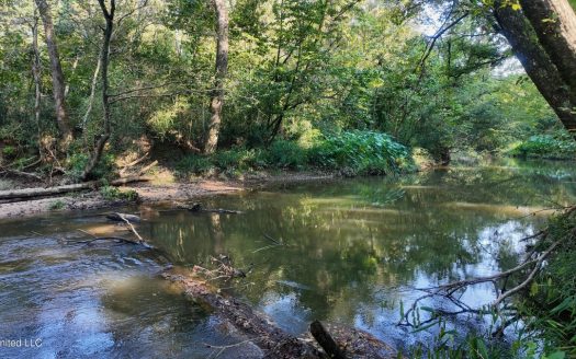 Liberty Mississippi riverfront real estate listing photo 1