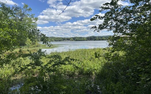 Sylacauga Alabama waterfront real estate listing photo 1