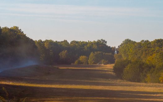 Protem Missouri waterfront real estate listing photo 1