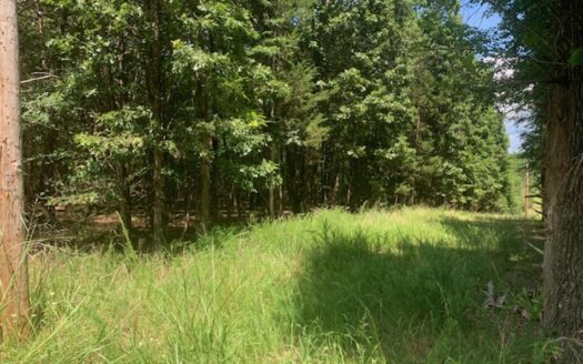 Protem Arkansas waterfront real estate listing photo 1