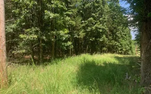 Acreage Overlooking Bull Shoals Lake