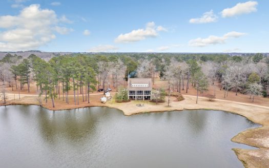 Pickensville Alabama waterfront real estate listing photo 1