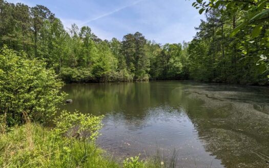 Milton Georgia waterfront real estate listing photo 1
