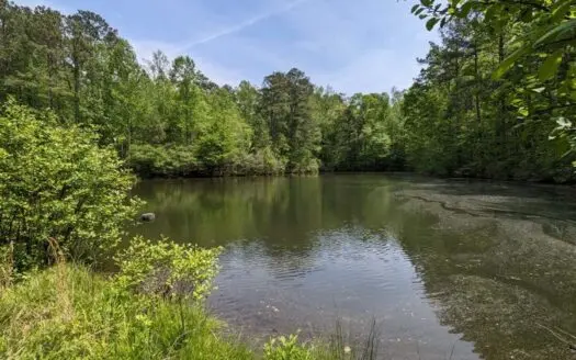 50+ acres for sale in MILTON GA with Pond and Creek