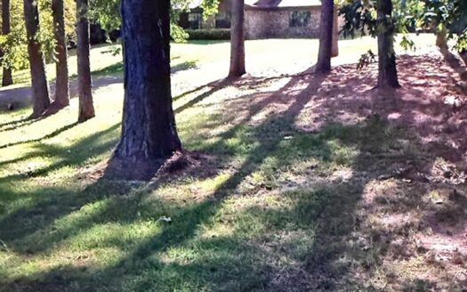 Saratoga Arkansas waterfront real estate listing photo 1