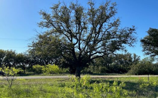 Brownwood Texas waterfront real estate listing photo 1