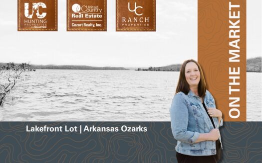 Mountain Home Arkansas waterfront real estate listing photo 1