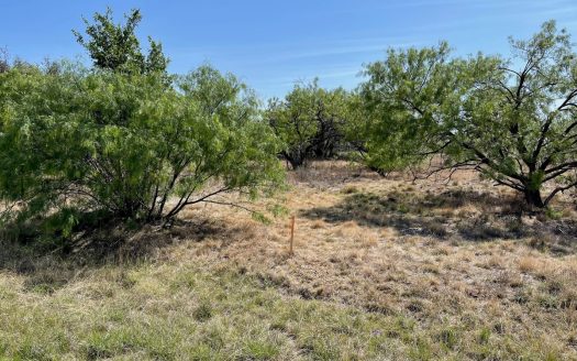 Brownwood Texas waterfront real estate listing photo 1