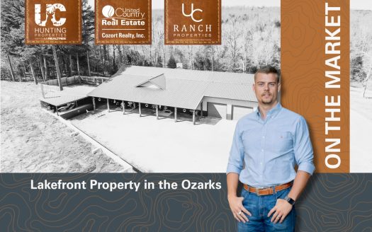 Gepp Arkansas waterfront real estate listing photo 1