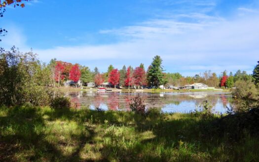 Atlanta Michigan waterfront real estate listing photo 1