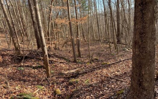 New Tazewell Tennessee waterfront real estate listing photo 1