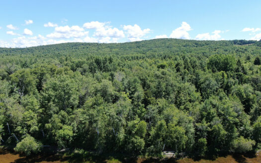 Danforth Maine waterfront real estate listing photo 1