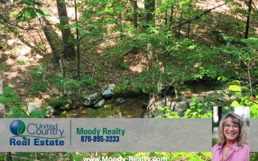 Fairfield Bay Arkansas waterfront real estate listing photo 1