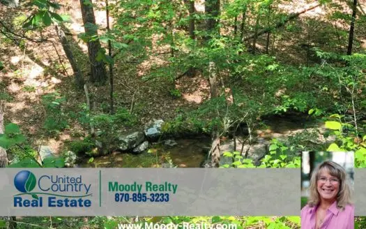 Lot For Sale In Fairfield Bay Arkansas