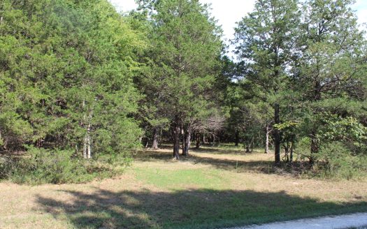 Protem Missouri waterfront real estate listing photo 1