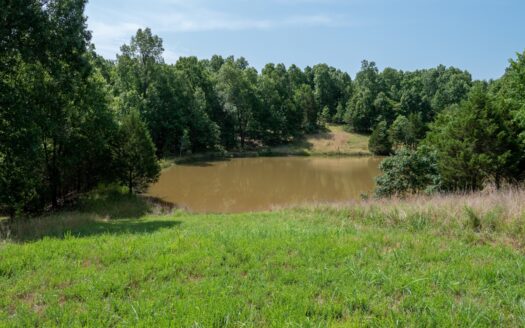 Protem Missouri waterfront real estate listing photo 1