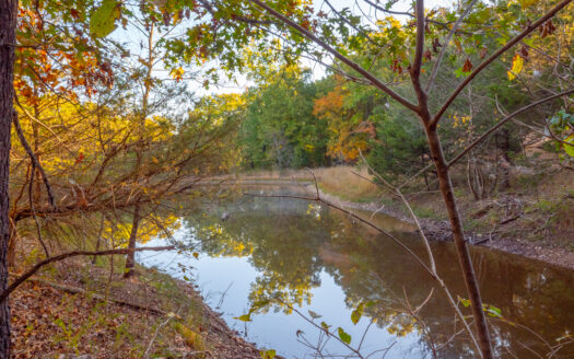 Protem Missouri waterfront real estate listing photo 1