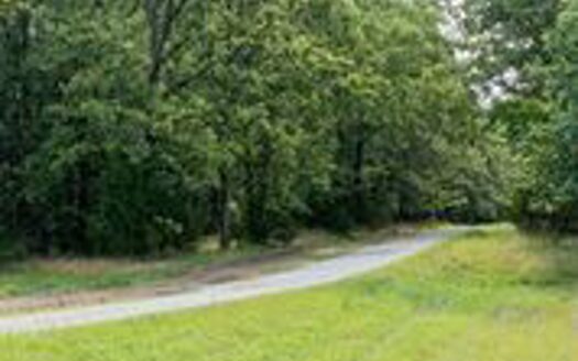 Protem Missouri waterfront real estate listing photo 1