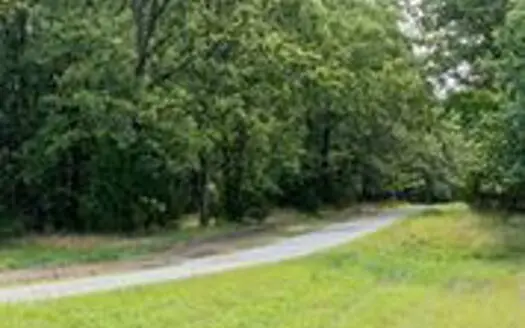 Lot 46 in Subdivision in Gated Community with Airstrip on Bull Shoals Lake Peninsula