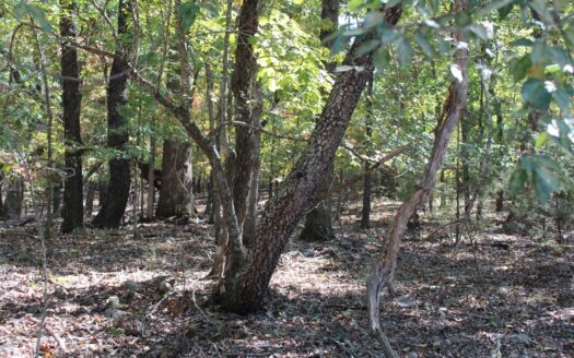 Protem Missouri waterfront real estate listing photo 1