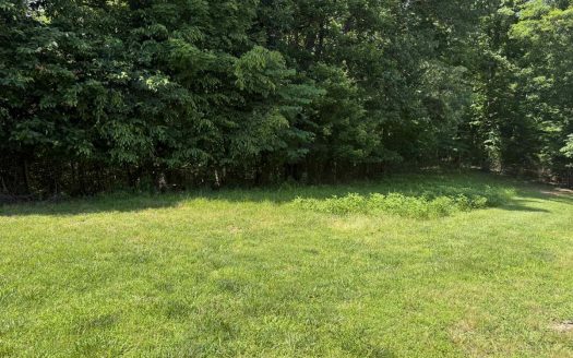 Albany Kentucky waterfront real estate listing photo 1