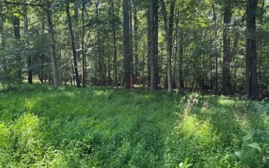 Own Your Slice of Paradise: Kerr Lake Waterfront Beauty