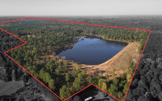 Atlanta Texas waterfront real estate listing photo 1