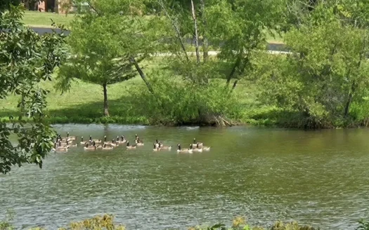 Build Your Dream Home on the Water – 3 Lots For Sale