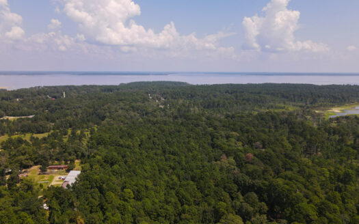 Zavalla Texas waterfront real estate listing photo 1