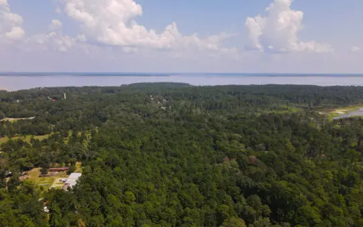 38 Acres at Caney Creek on Lake Sam Rayburn