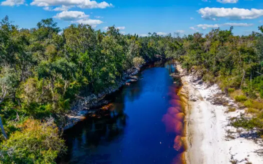 11 acre river-front tract with hunting potential Live Oak Florida
