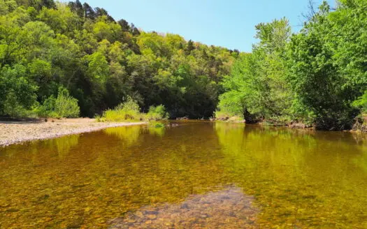 Riverfront Beauty at North Fork of White River, Twin Bridges