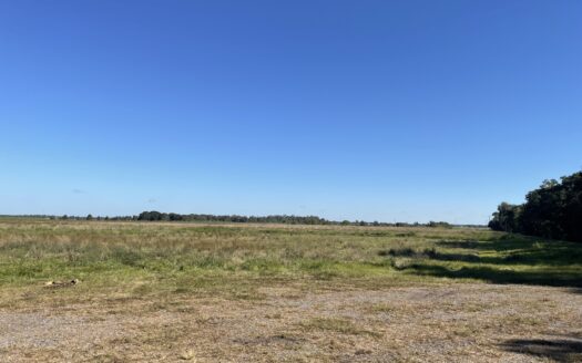 Abbeville Louisiana riverfront real estate listing photo 1