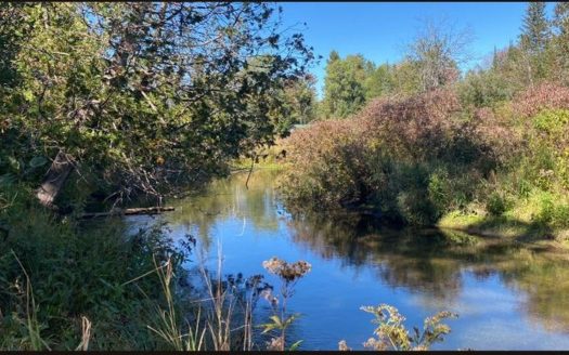 Atlanta Michigan riverfront real estate listing photo 1