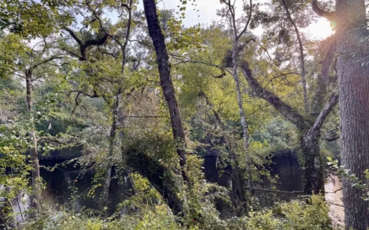 Alapaha River Front Property For Sale in Jasper, FL