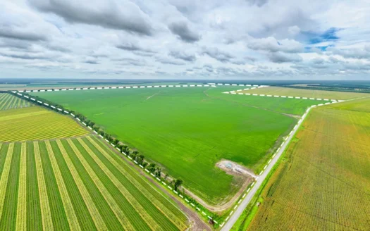 Irrigated Farm For Sale Louisiana