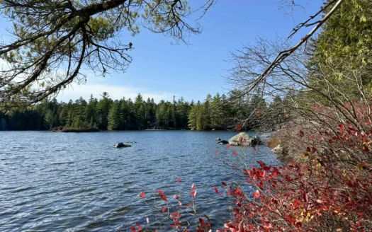 41 Acres with 1330 Ft on Long Lake – Northfield, ME