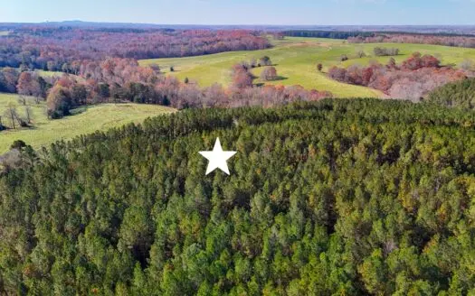 Large Lot For Sale With Broad River Access!