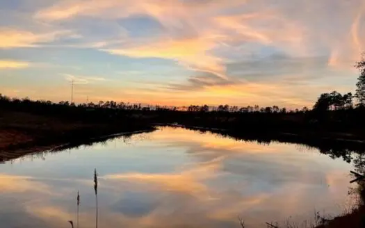 39.4 Acres with Pond For Sale Lincoln County Ruth, Mississippi