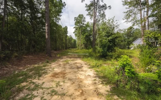 Building Lot for Sale in Elizabethtown, NC!