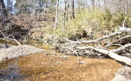 Land For Sale In Wayne County Tn With Creek