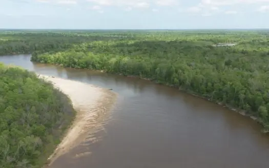 385 Acres Pearl River Frontage Louisiana